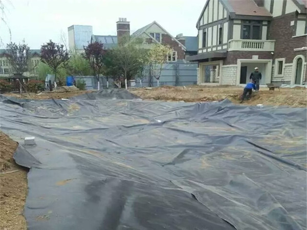 人工湖土工膜图片第6张 人工湖土工膜