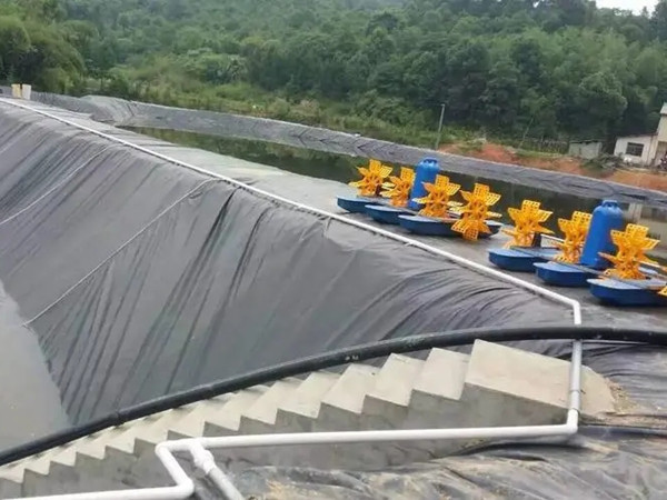 鱼塘土工膜图片第1张 鱼塘养殖土工膜