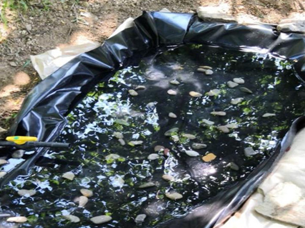 养鱼防渗膜图片第1张 小型鱼塘防渗土工膜