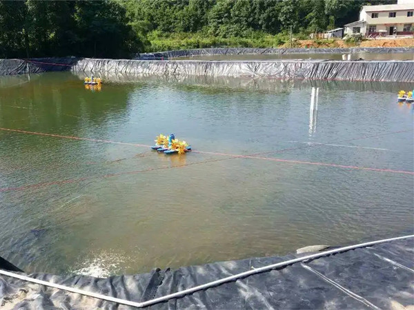 鱼塘土工膜图片第2张 家庭鱼塘土工膜效果图