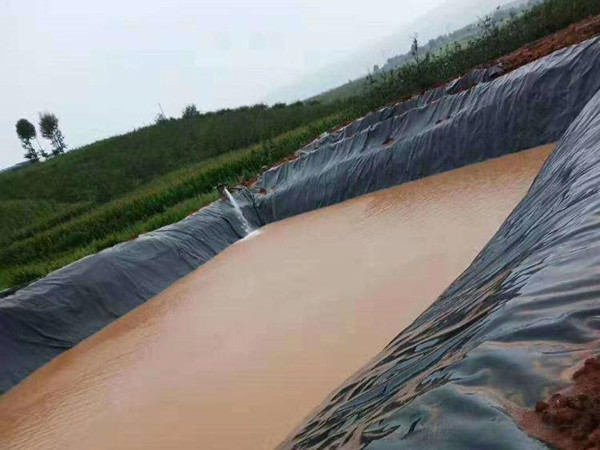 新挖的鱼塘漏水严重,用土工膜好不好图片第4张 新挖的鱼塘漏水严重,用土工膜好不好图片第4张-beat365